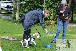 Welpen  06.09.2025 39